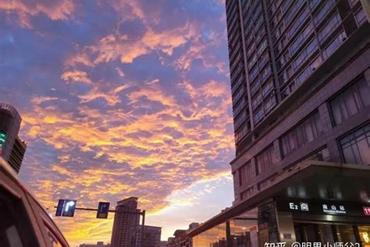 立秋的生肖什么最旺