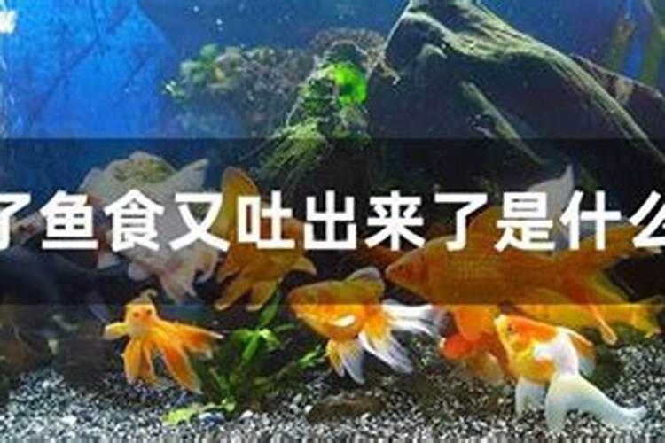 梦见自己吃鱼但不好吃吐了出去