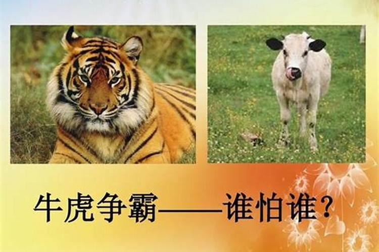 二月二龙抬头乔迁之喜怎么说