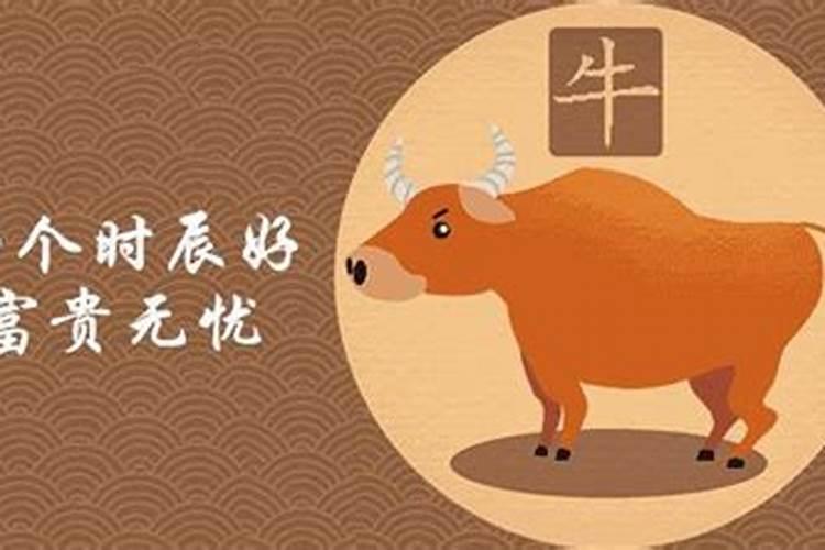 97年属牛女的八字 1997年生肖牛几月出生命好？