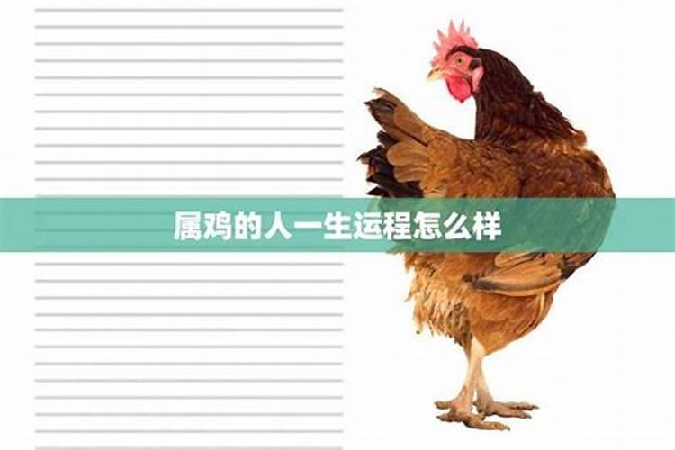 1993年属鸡人一生的运程运势
