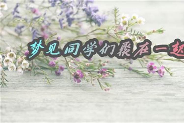 2025年68年猴人的全年运势如何