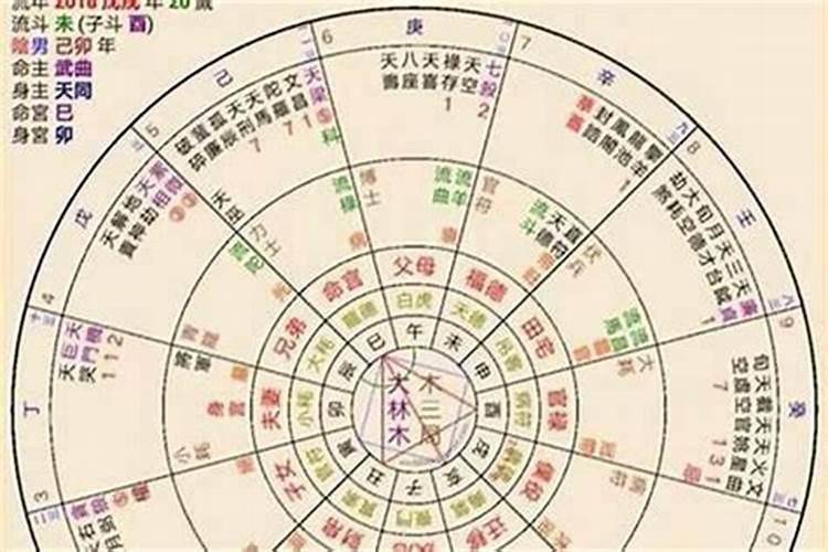 四柱地支三个辰一个寅什么意思？