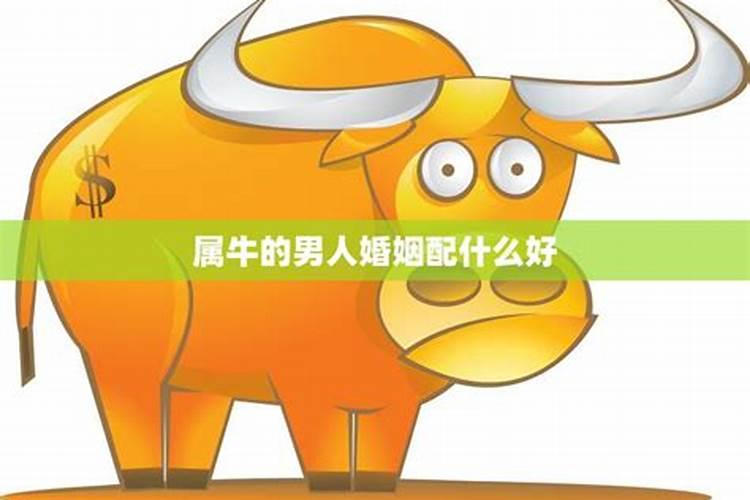属牛2025年运势及运程