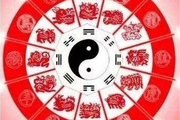 2024下半年运势上佳底气十足的生肖