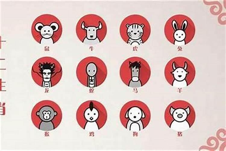 女孩子偏童子命的面相是怎样的 女孩偏童子命的面相好吗