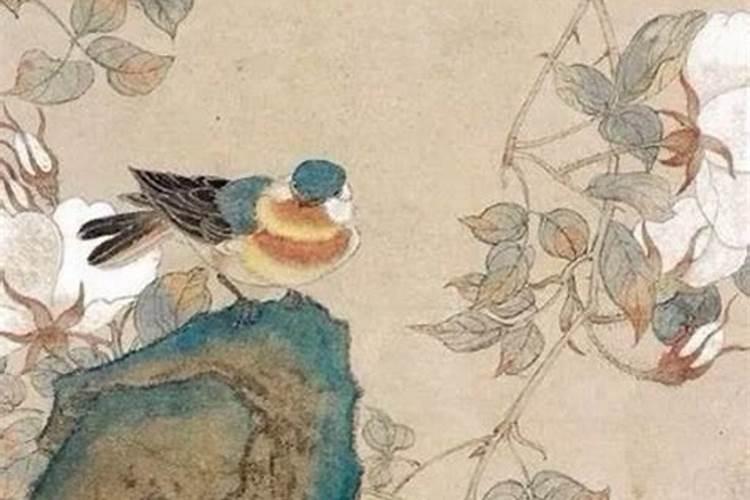 命局分析农历十月初一出生是什么命哪个时辰出生好？