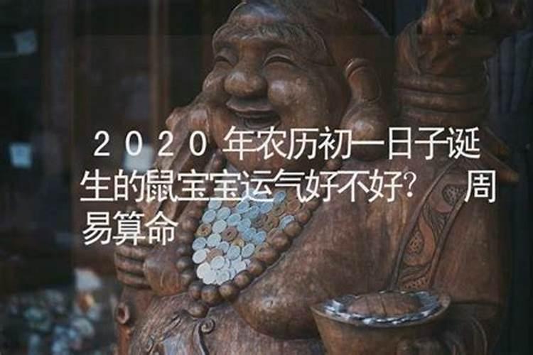 2025年的属猴人运势