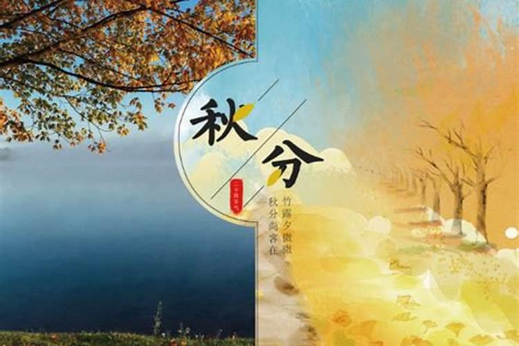 1980年属猴和1982年的一生婚姻