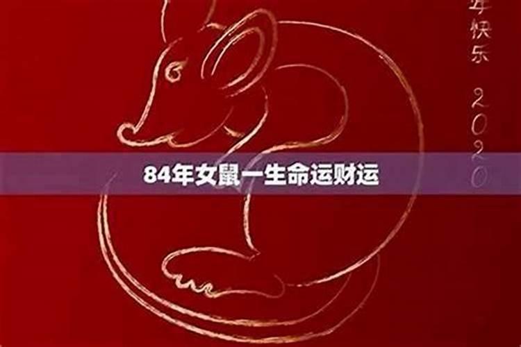 2024年婚姻不顺的生肖 鼠要防止烂桃花？