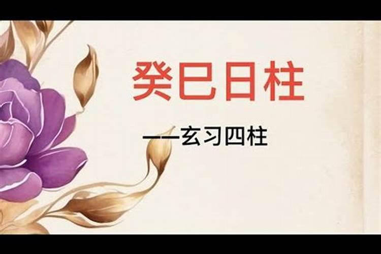 癸巳日为什么配偶好 巳火正财暗藏正官