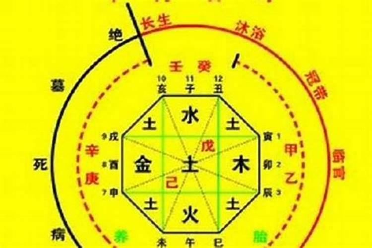 什么是时柱的比肩？比肩有什么意义呢？