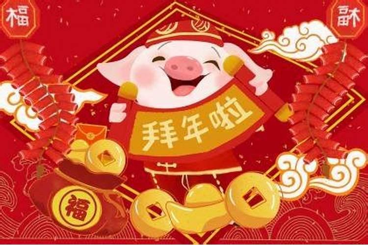 属猪的几月出生最好命？