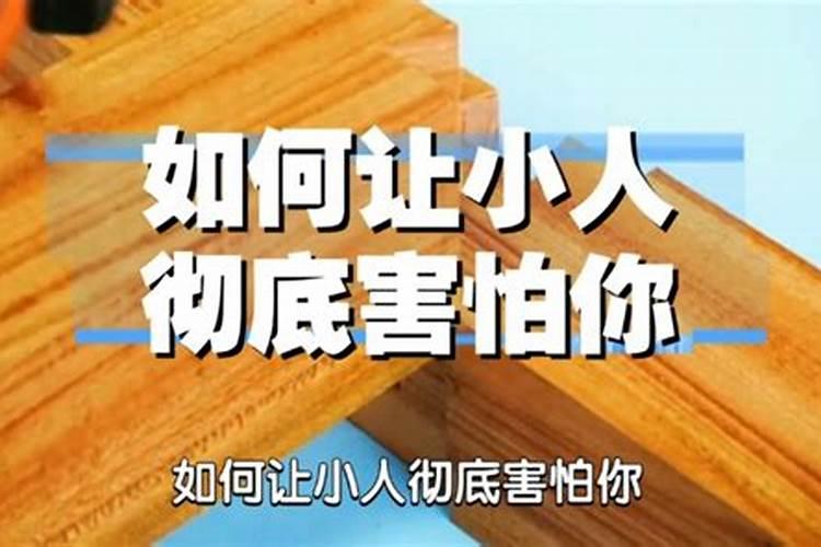 小人害怕什么样的人,如何对付小人？