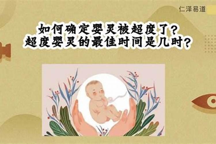 小财神酒怎么样