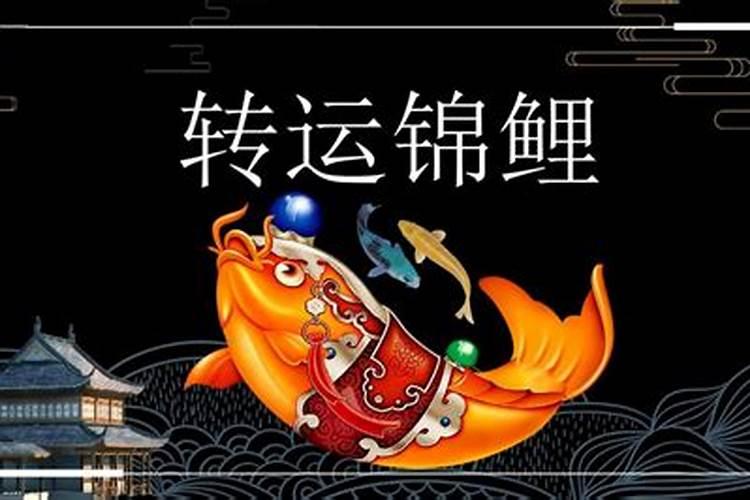 属虎和属鼠的人相合吗？