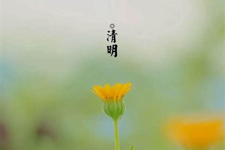 清明生的孩子有什么说法吗建议躲脉？