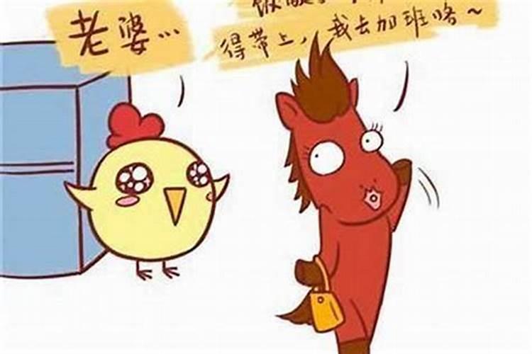 属鸡男和什么属相女婚姻合适,1981年属鸡男和什么属相女结婚合适？