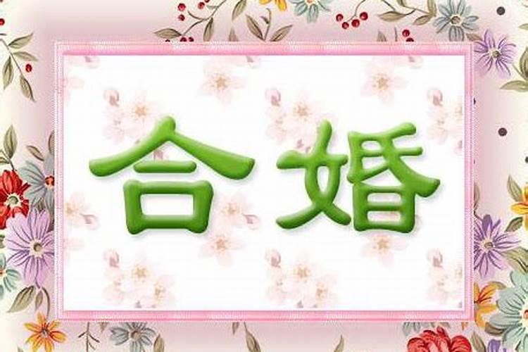 梦见自己的侄子车祸身亡