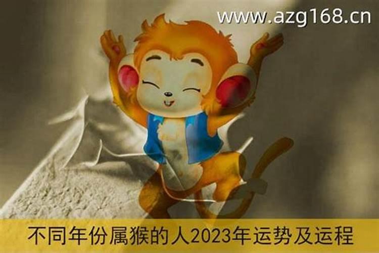 1980年属猴人2025全年运势