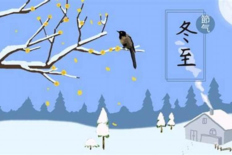 1983属猪女2025年全年运势