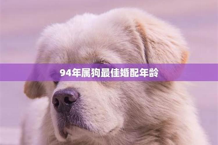 一九五八年属狗的与一九九六年属鼠的结合在一起可以吗？