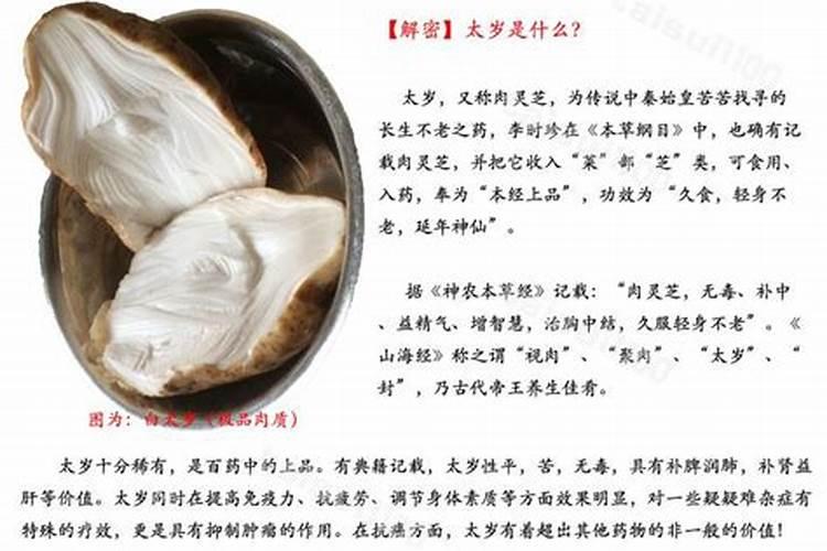 9月初九是什么星座