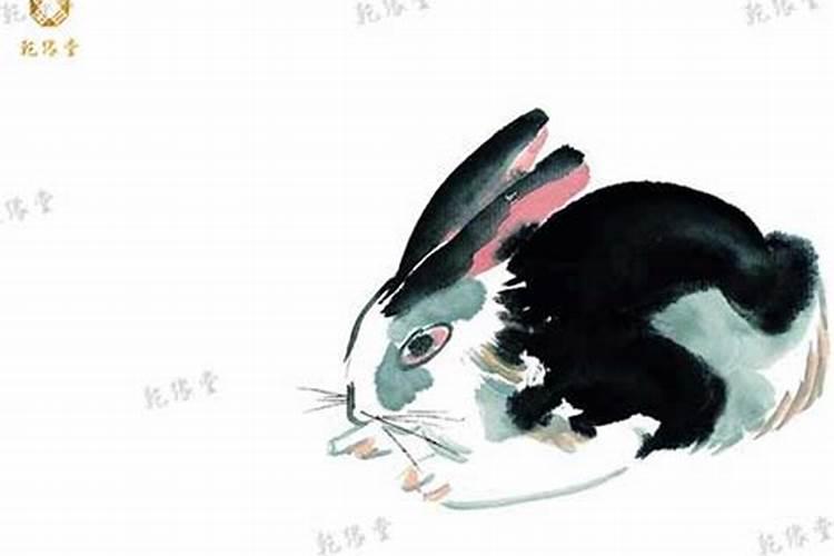属虎戴什么生肖牌翡翠手链