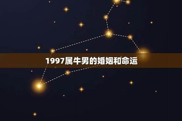 2009年属牛人2020年运势男命