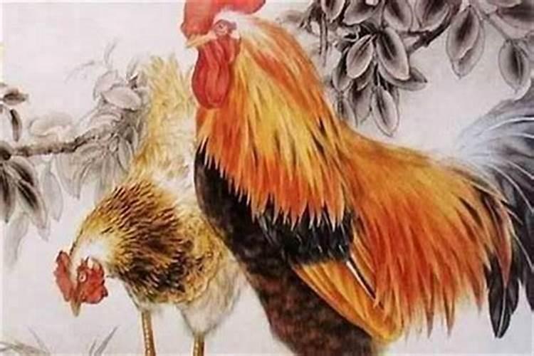 命中缺土怎么办,请高手指点,我是,81年,鸡命,11月14日阴历出生。