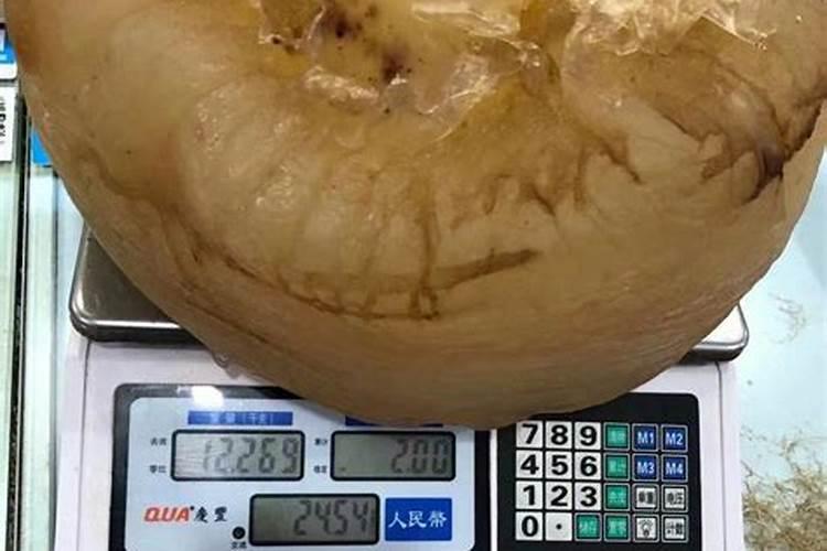 生肖羊2024年下半年运势如何