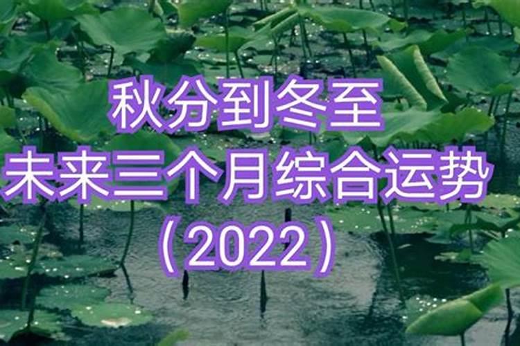 1960年属鼠人2024全年运势每月运势
