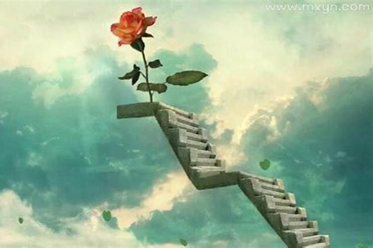 塔罗牌求姻缘,抽到恶魔,教皇,女教皇是什么意思？