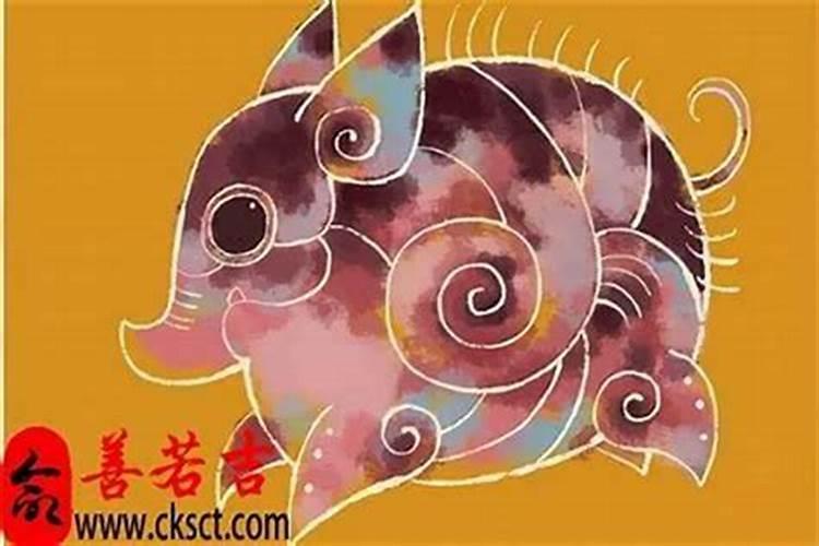 1995年出生的属猪男一生命运