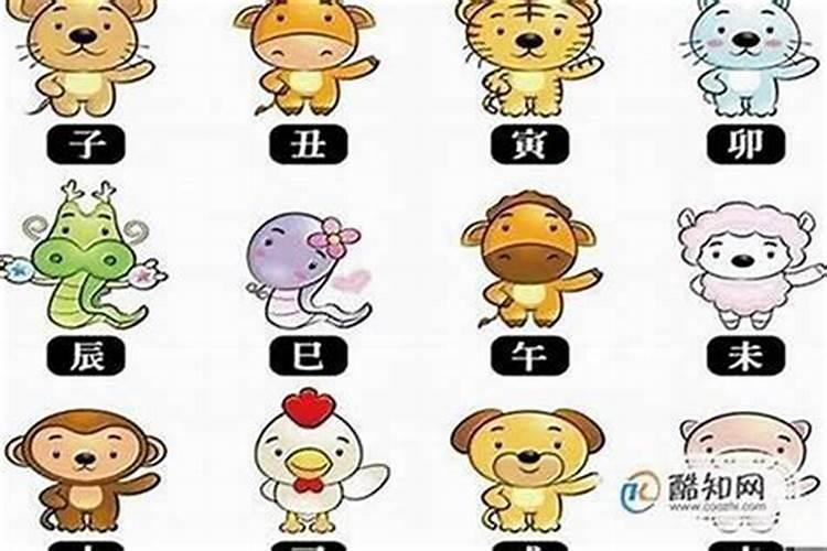 十二生肖谁的命最好