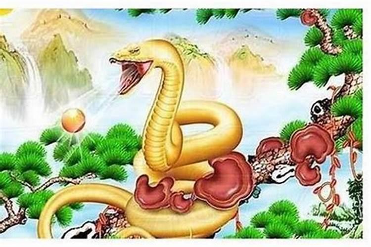 大运的绝是什么意思,排大运什么意思