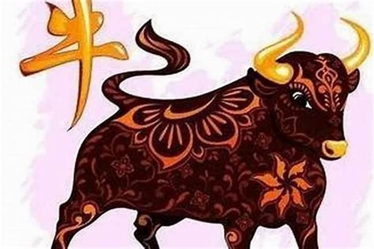 老人腊月去世五七百天纸过年后还能烧吗？