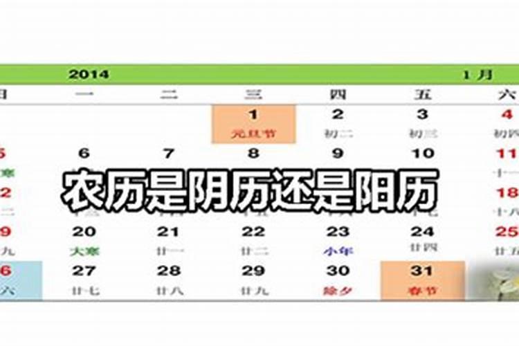 明天是什么节日？