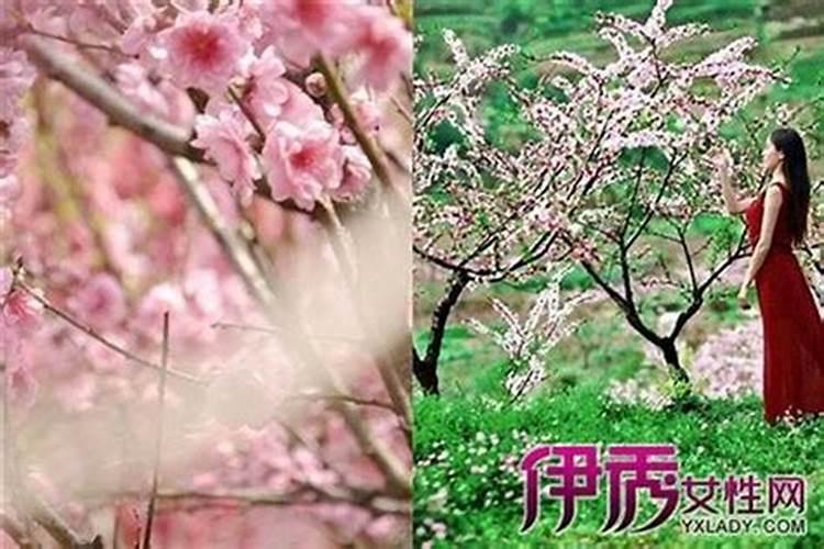 有桃花煞好还是不好？桃花煞的后果？