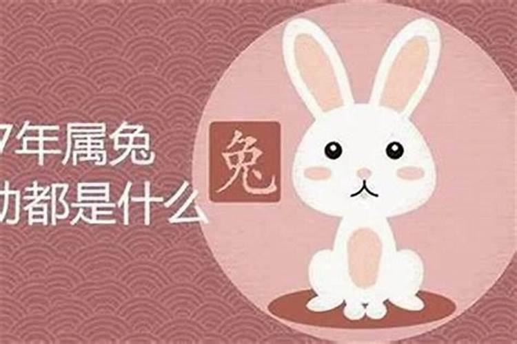 1987年女兔2025年运势及运程