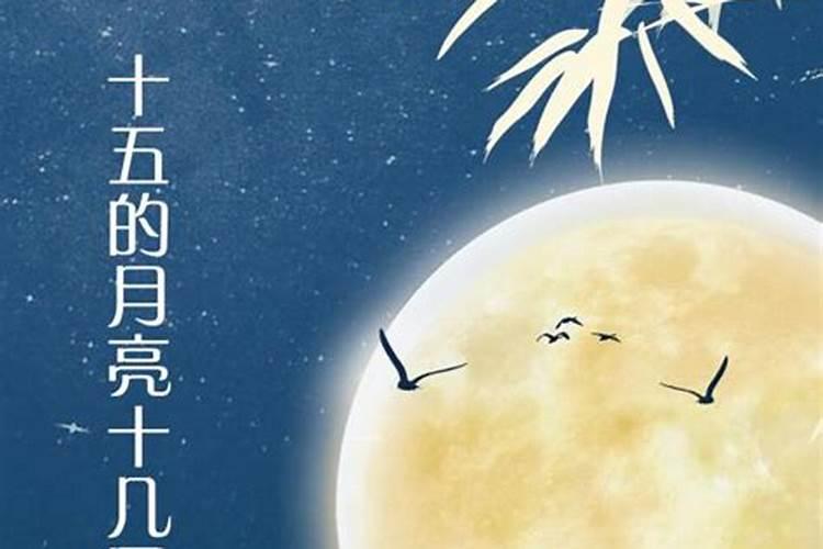 女73年阴历12月15日出生问一生财运