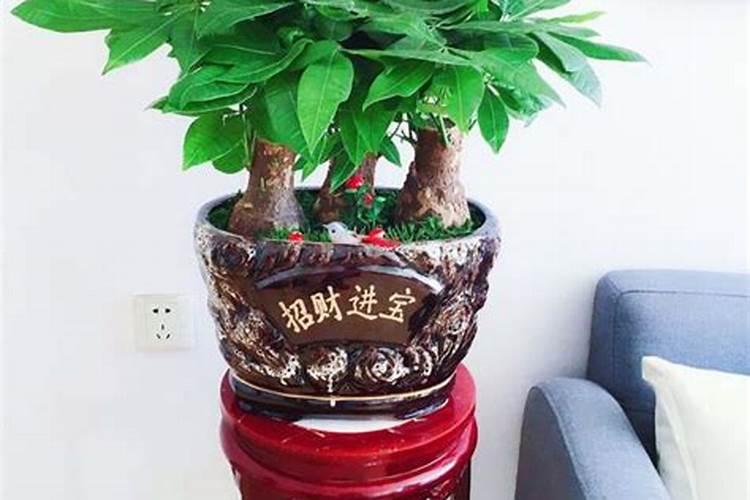 端午节的由来和习俗