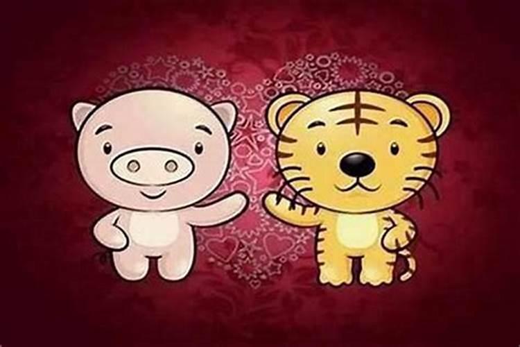 属鸡男与属虎女相配吗!？