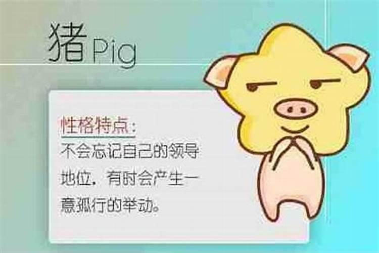 批八字是什么意思？
