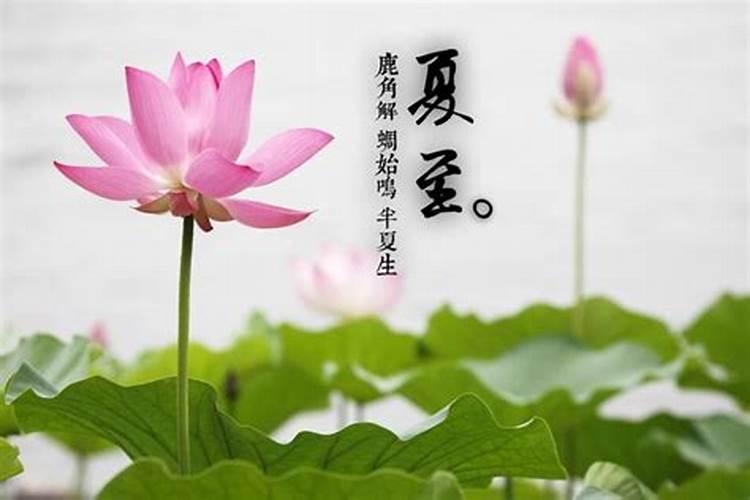 二十四节气灸丨温阳袪湿,夏至艾灸正当时
