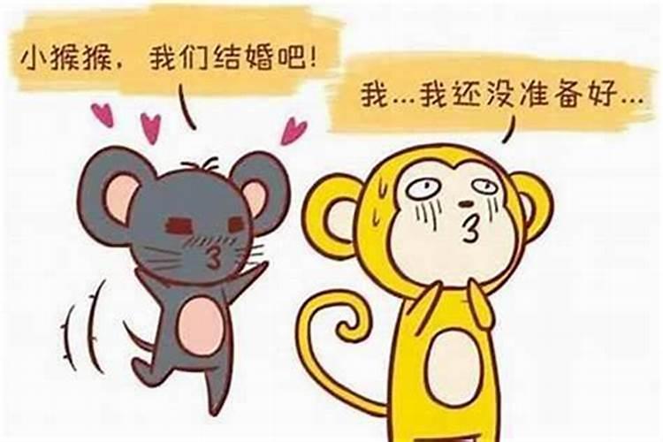 属猪人2026年全年运势运程