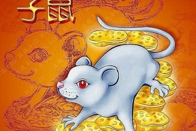 一九九六年属鼠的运程,96年属鼠一生事业运