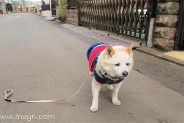 腊八节是什么时候几月几日农历的