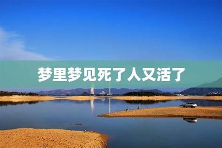 海中金命适合养鱼吗