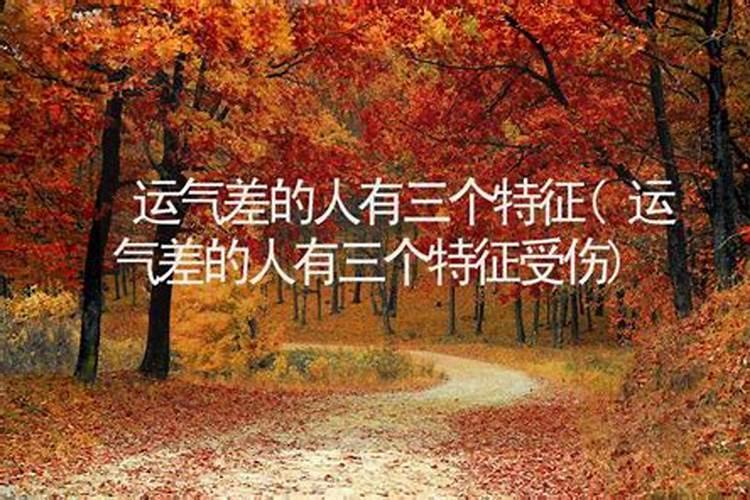 属虎犯太岁的年份